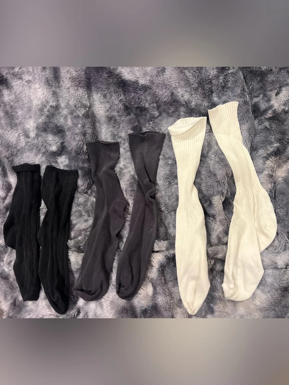 Petite women’s Ribbed Crew Socks - Black & White